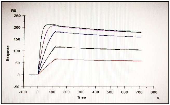 SPR2